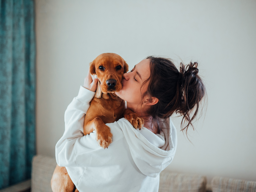 A person kissing their dog