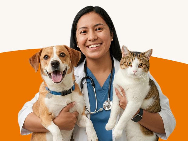Veterinary professional holding a dog and cat against an orange background, representing expert-led pet supplement development.