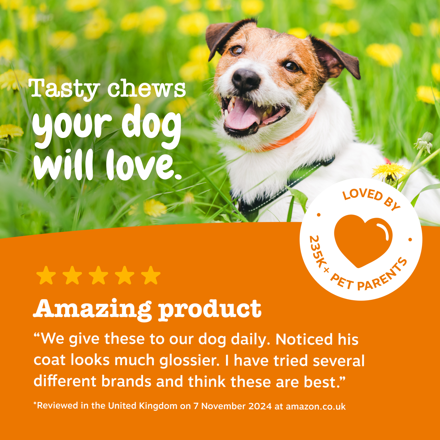 Zesty Paws 5-in-1 Chews
