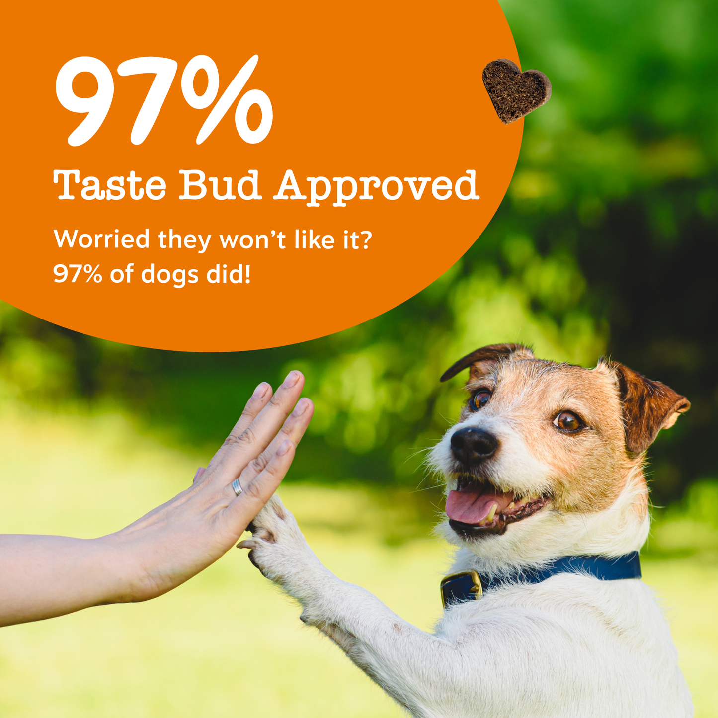 Zesty Paws 5-in-1 Chews