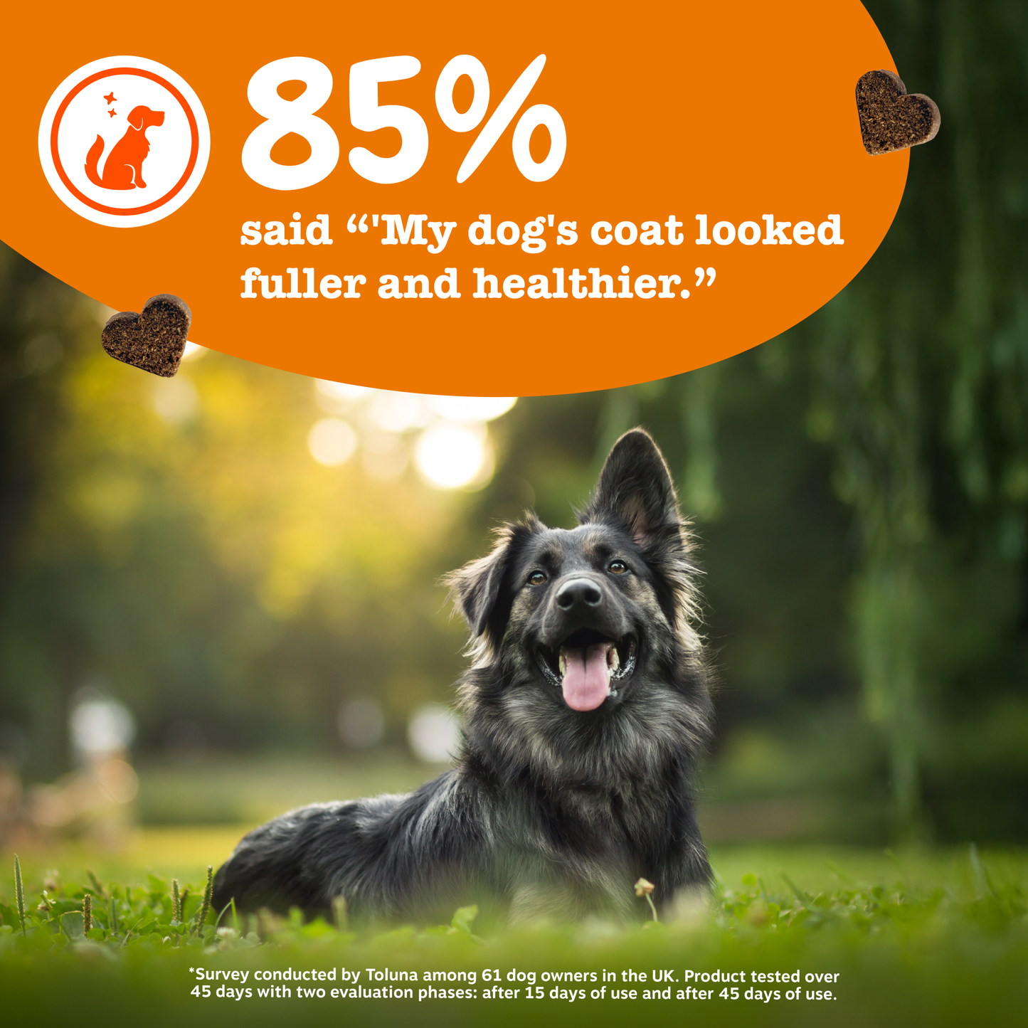 Zesty Paws Aller-Immune Chews