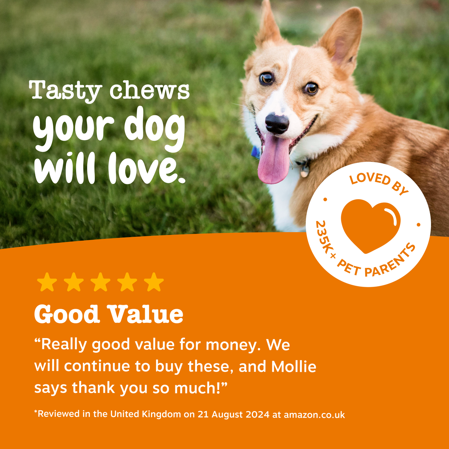 Zesty Paws Allergy & Immunity Chews
