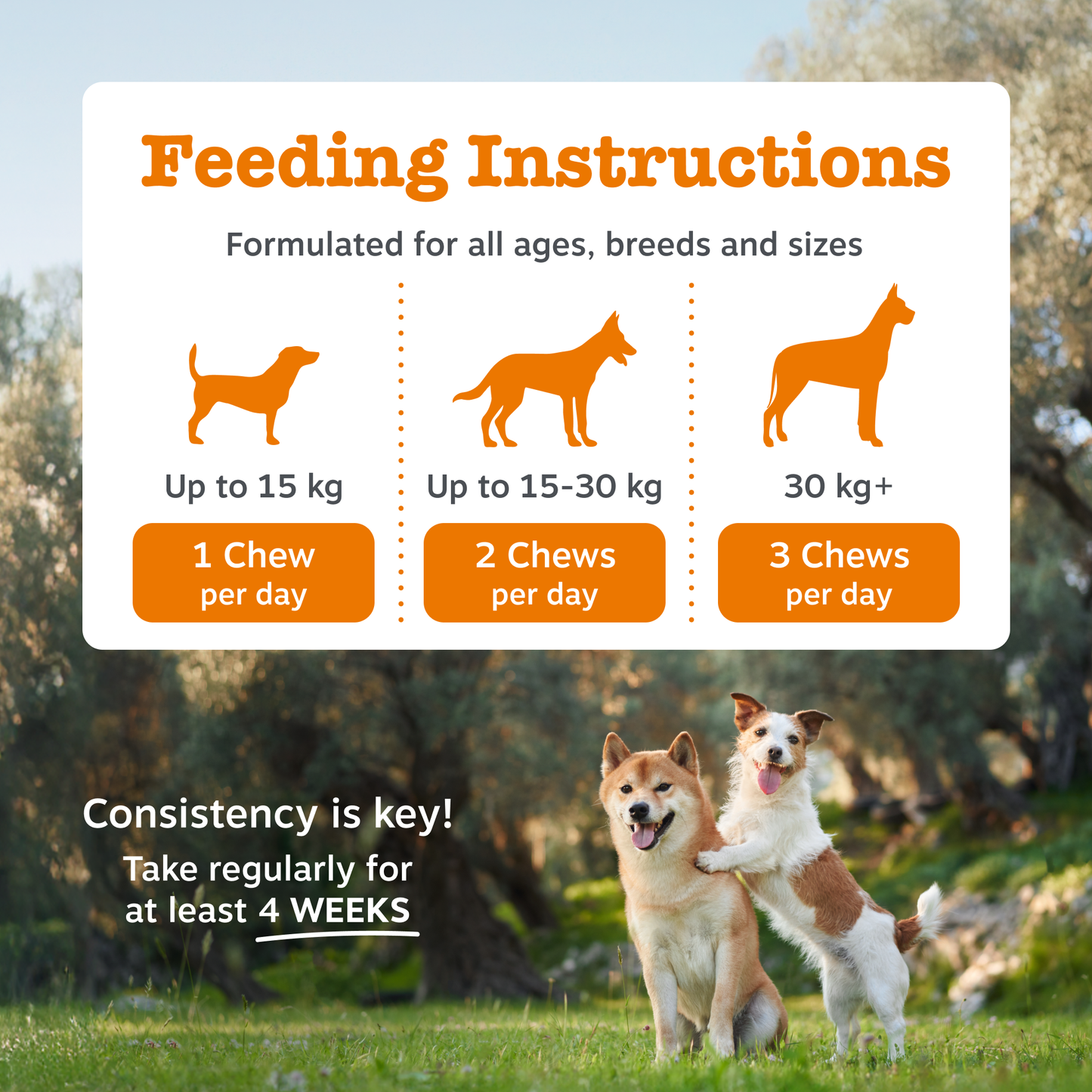 Zesty Paws Allergy & Immunity Chews