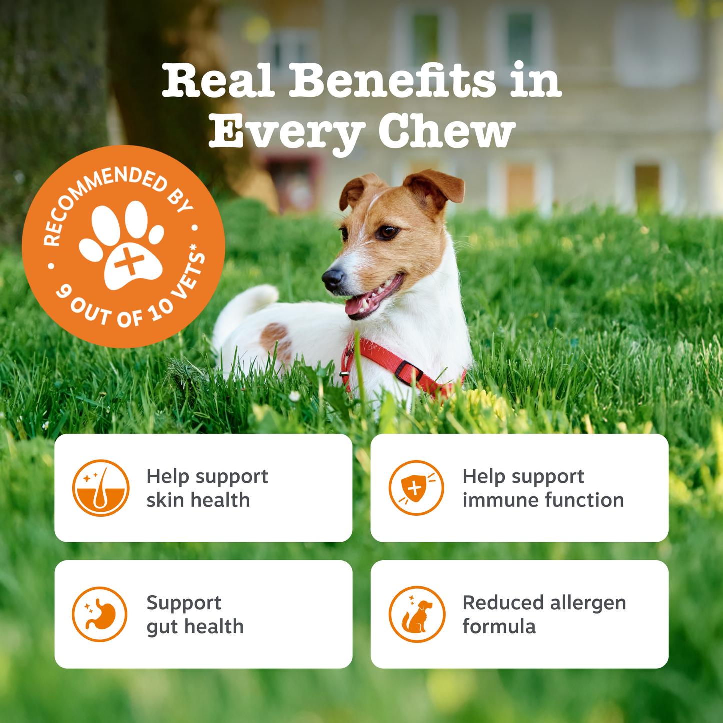 Zesty Paws Allergy & Immunity Chews
