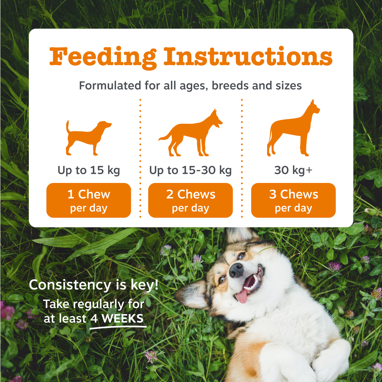 Zesty Paws Calming Chews