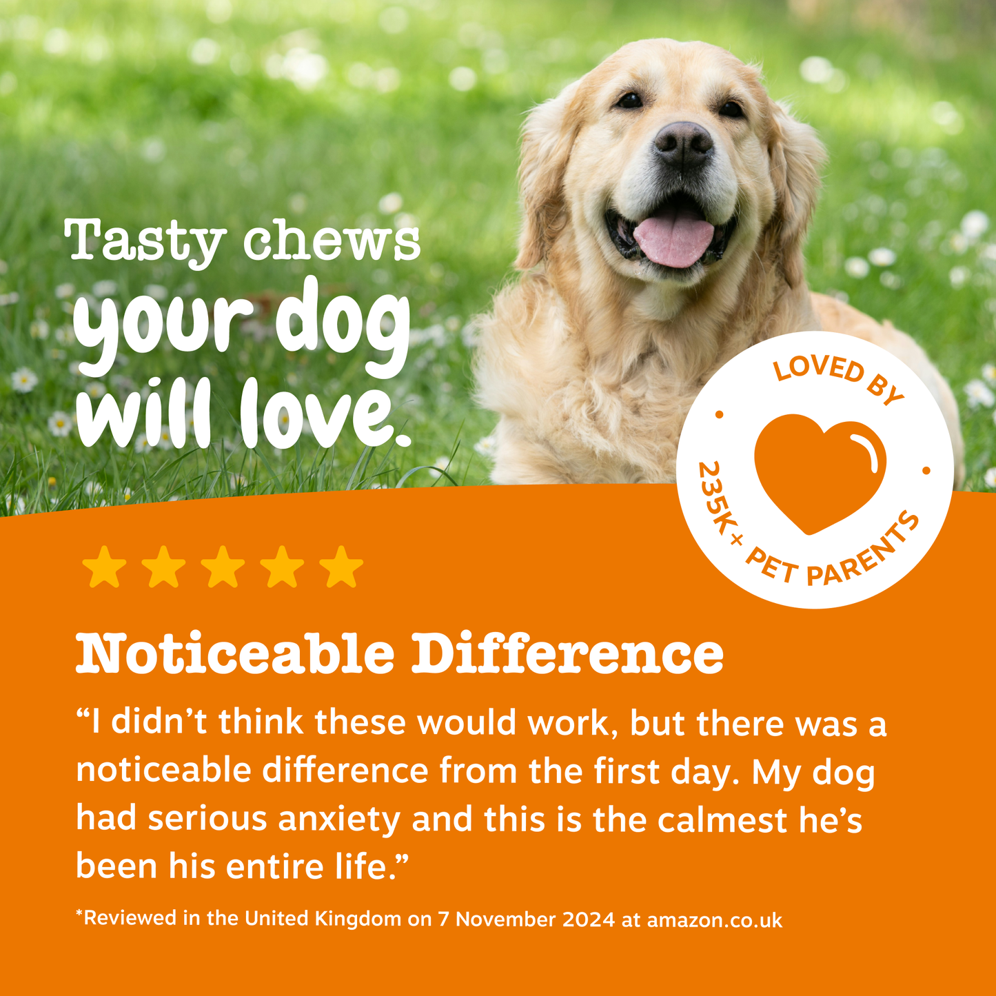 Zesty Paws Calming Chews