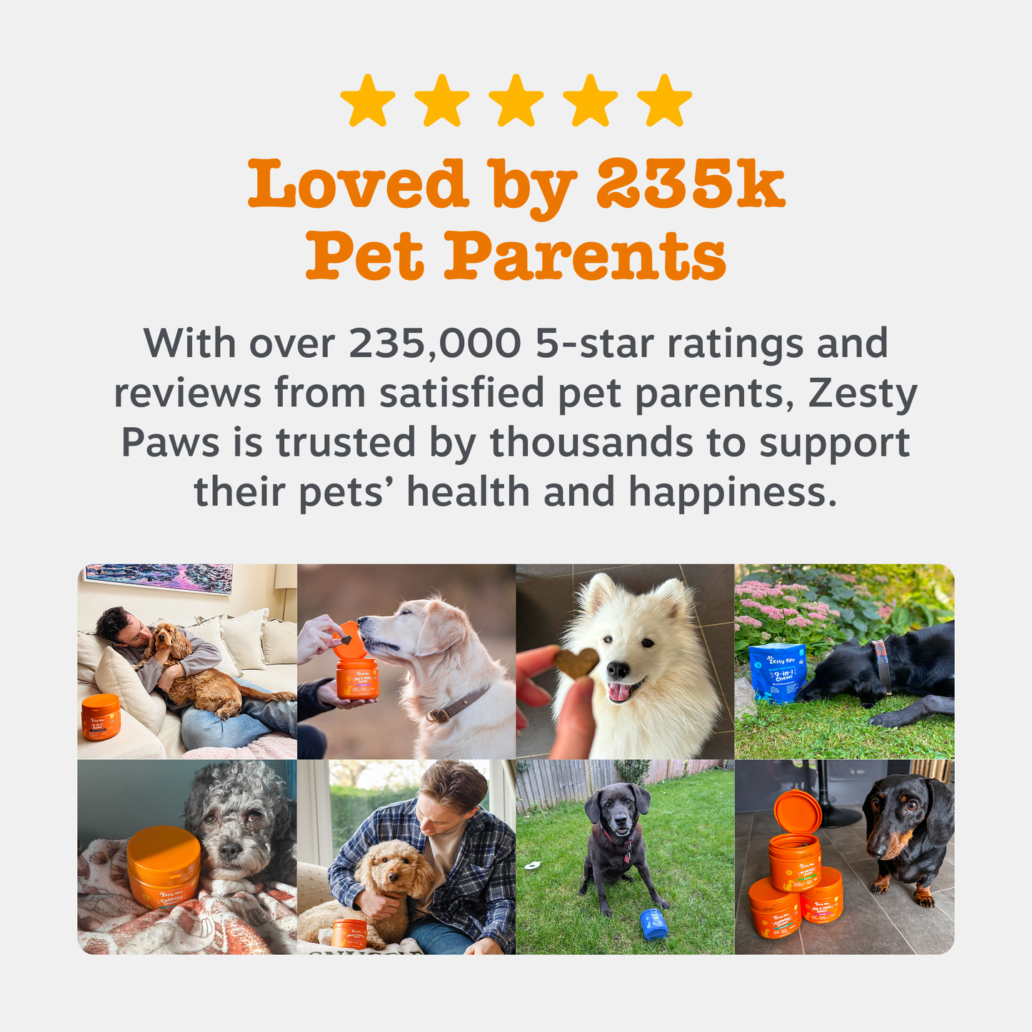Zesty Paws Calming Paste
