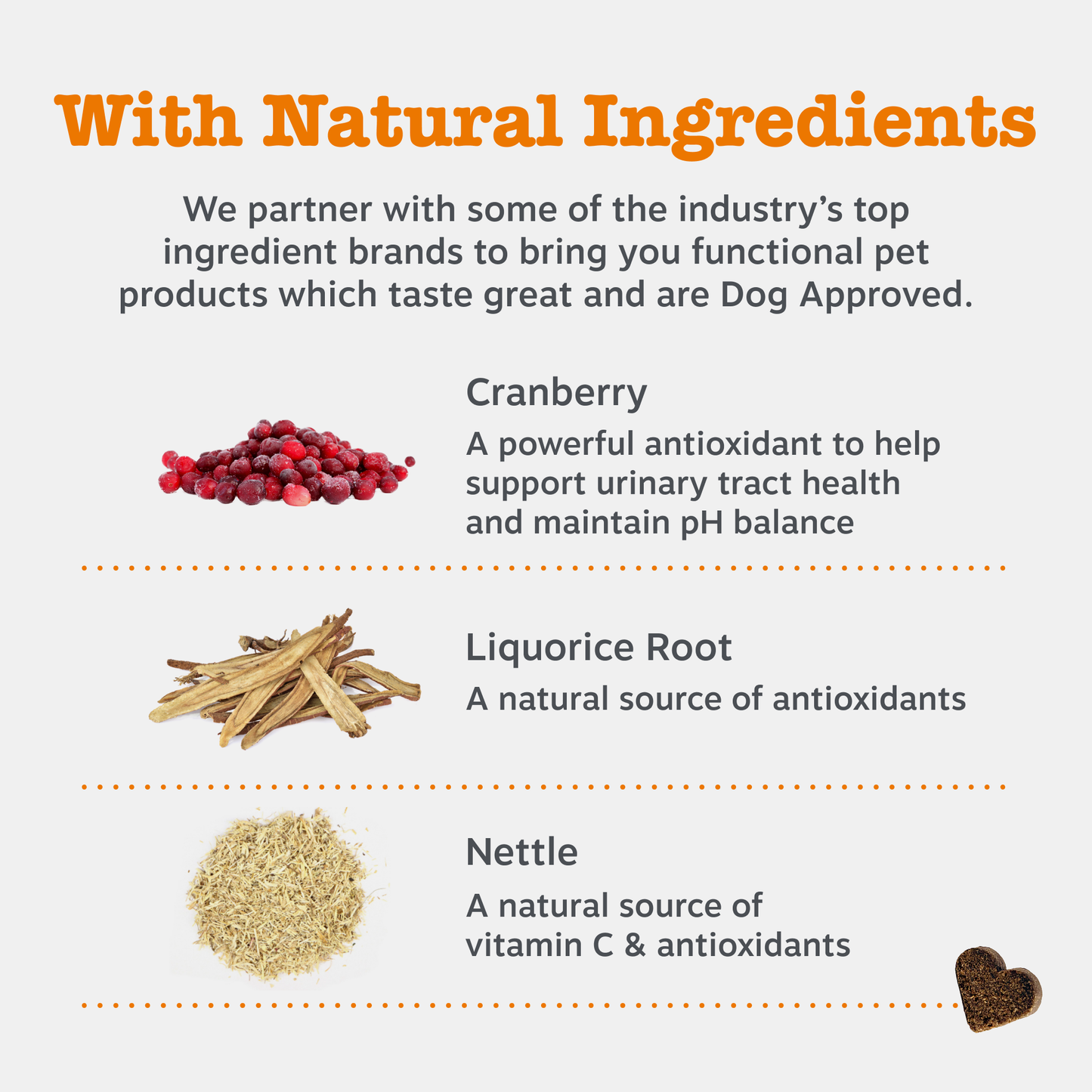 Zesty Paws Cranberry Urinary Chews
