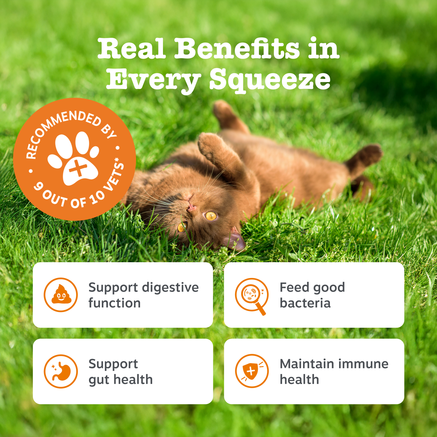 Zesty Paws Digestion Paste