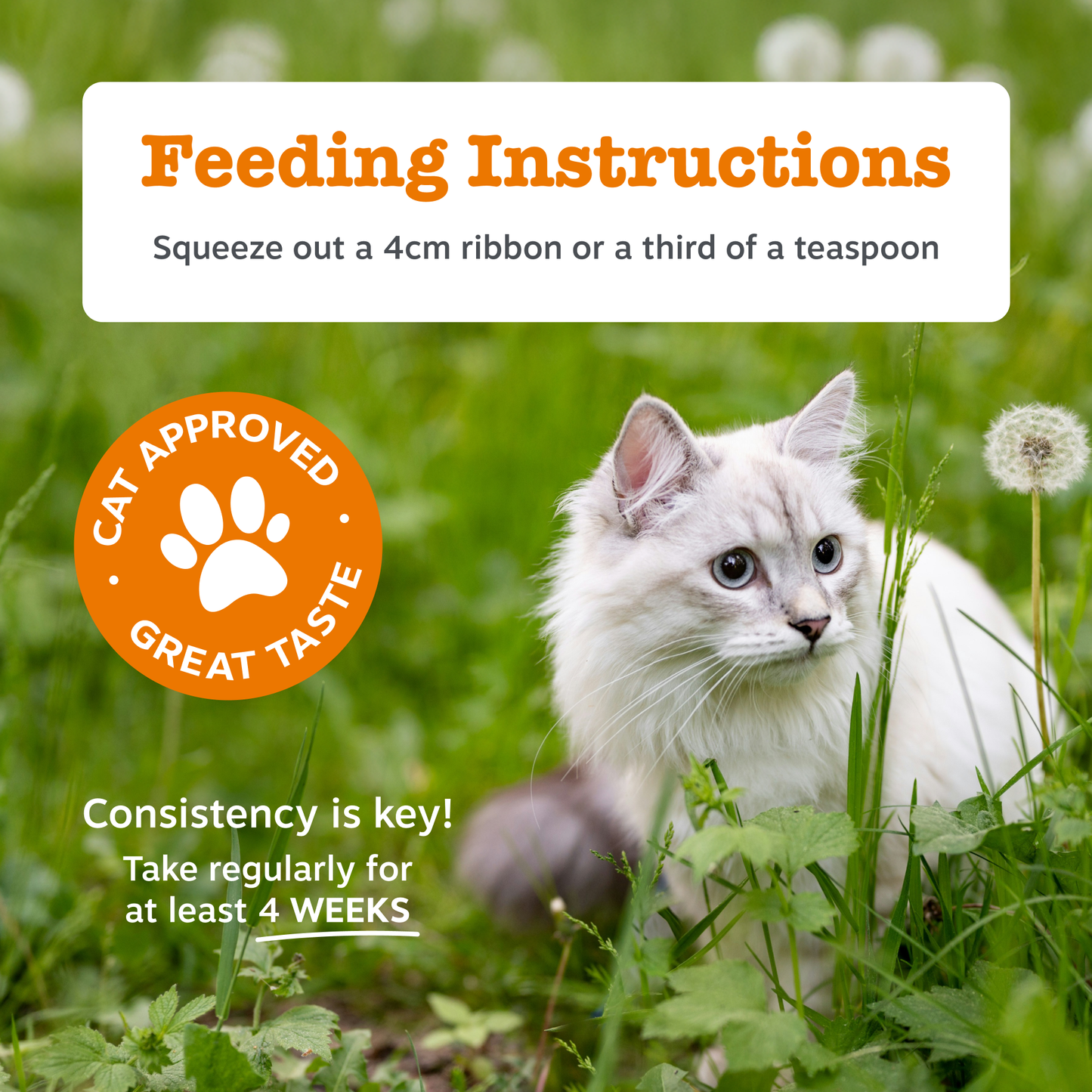 Zesty Paws Digestion Paste