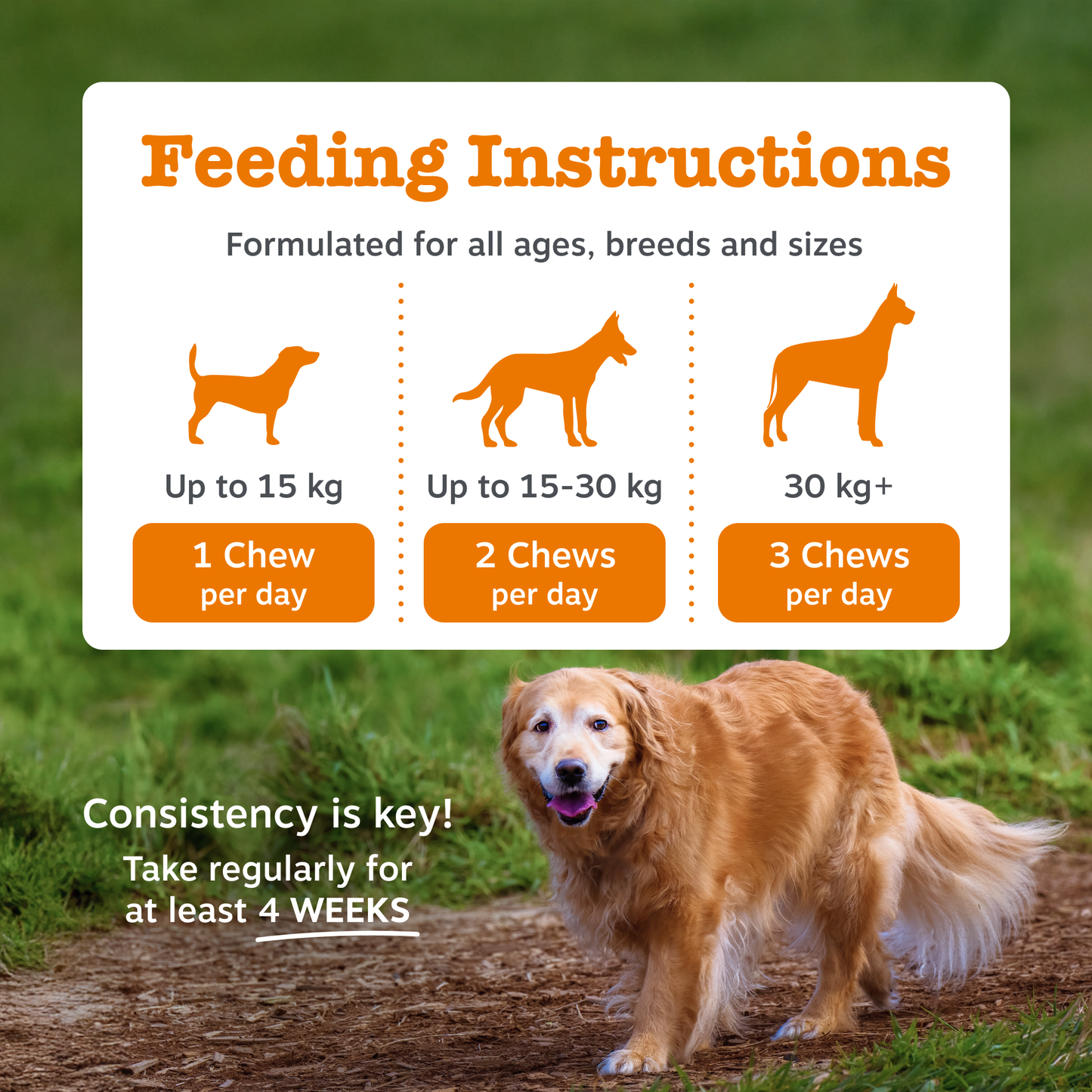 Zesty Paws Hip & Joint Chews