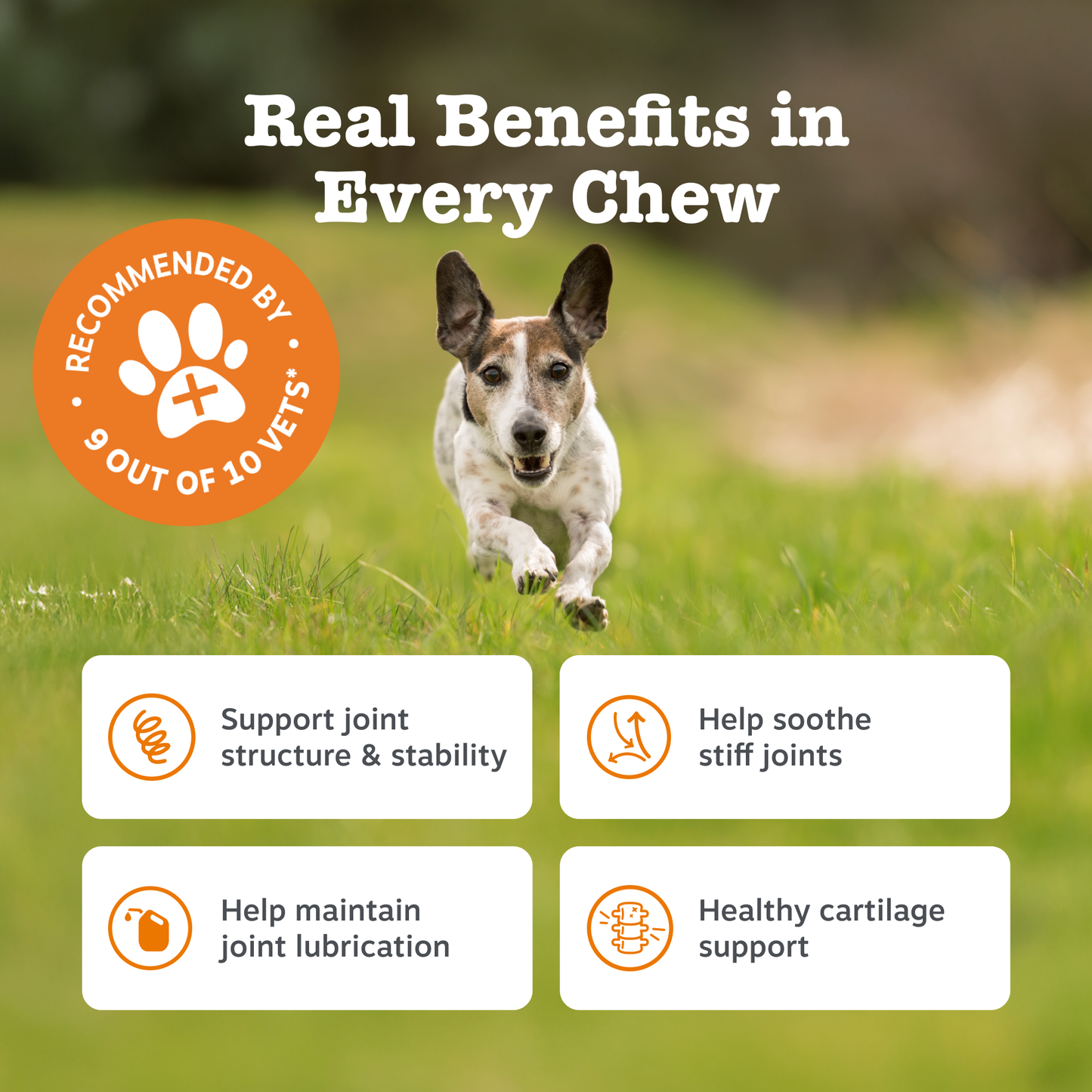 Zesty Paws Hip & Joint Chews