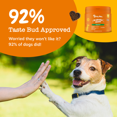 Zesty Paws Probiotic Chews