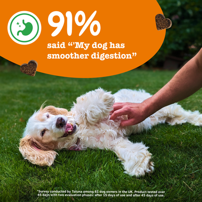 Zesty Paws Probiotic Chews