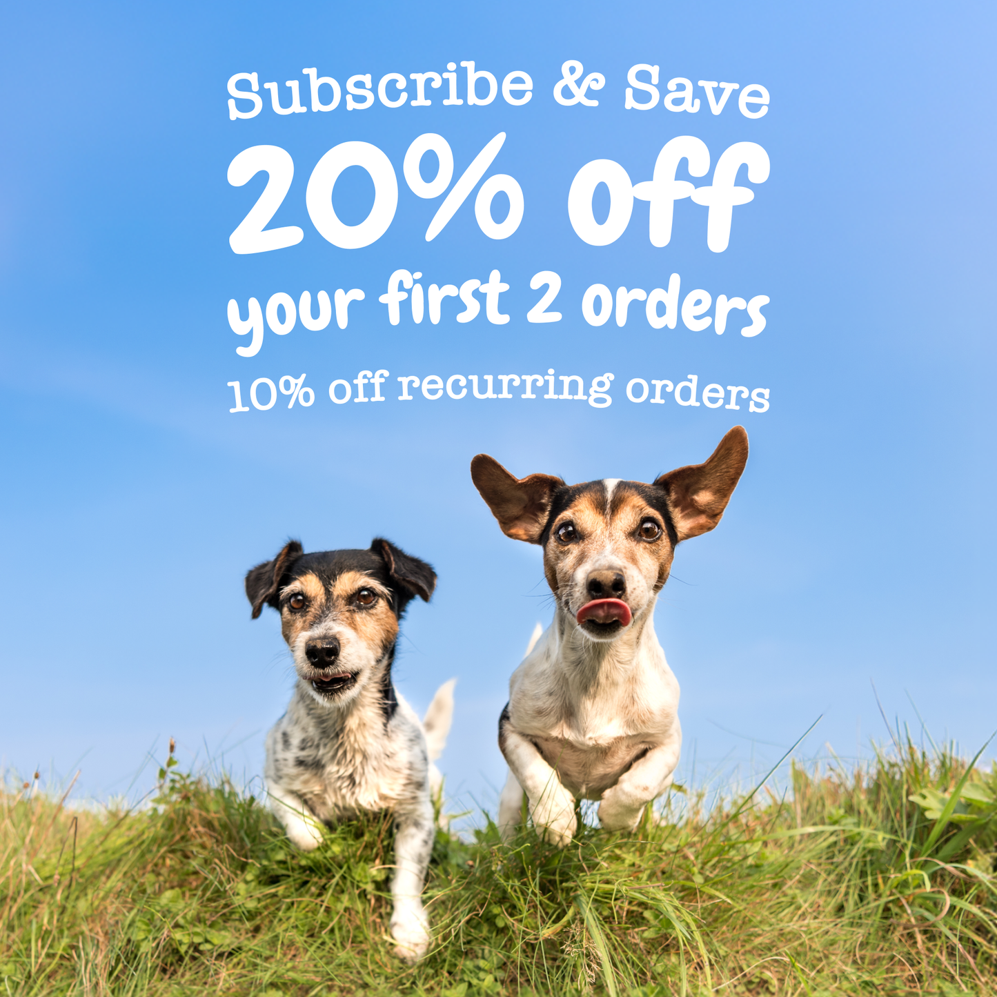 Zesty Paws Senior Advanced Aller-Immune Chews