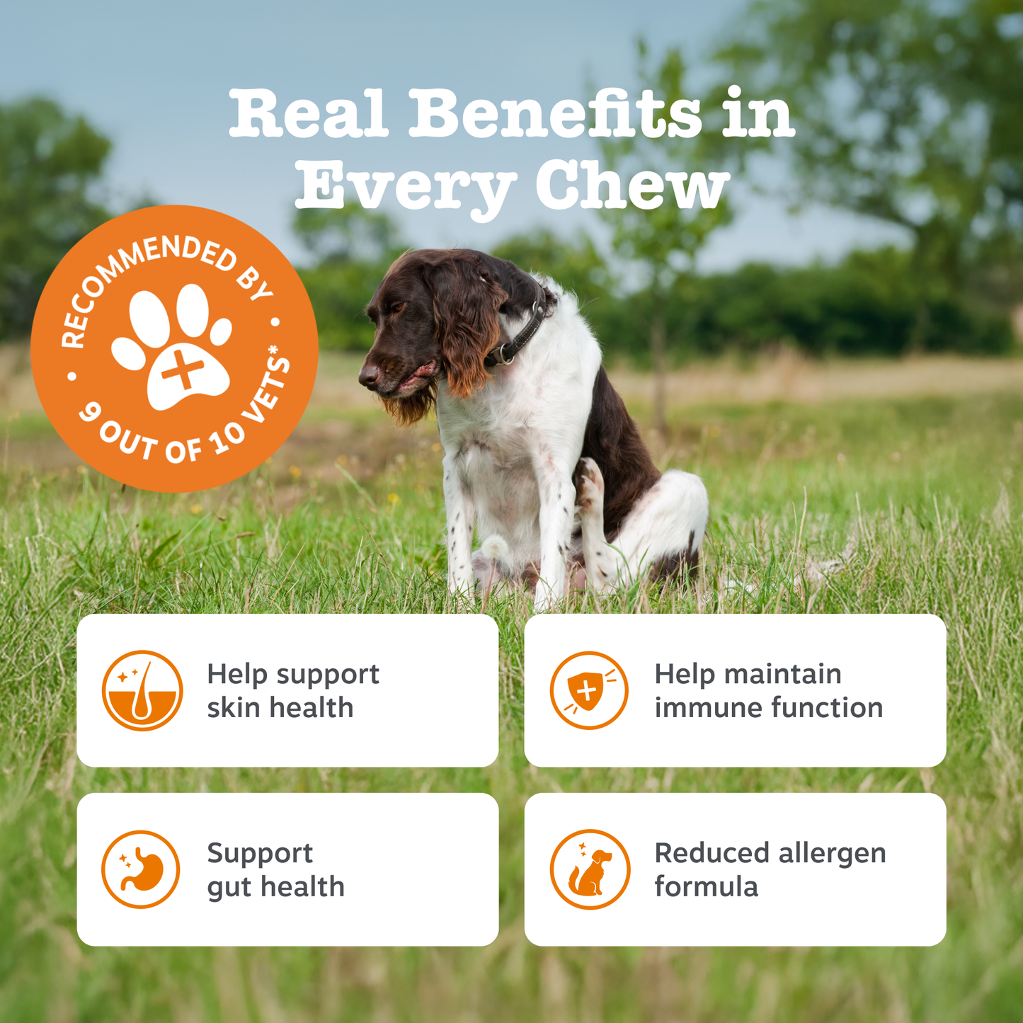 Zesty Paws Senior Advanced Allergy & Immunity Chews