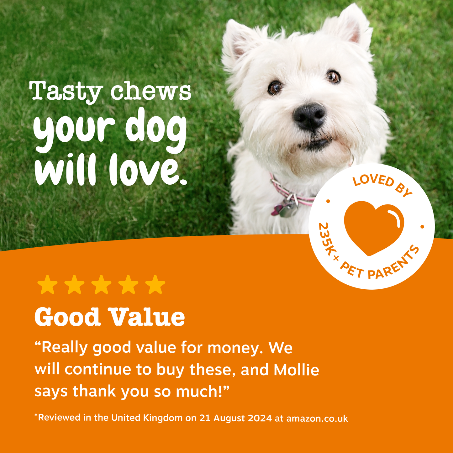 Zesty Paws Senior Advanced Allergy & Immunity Chews