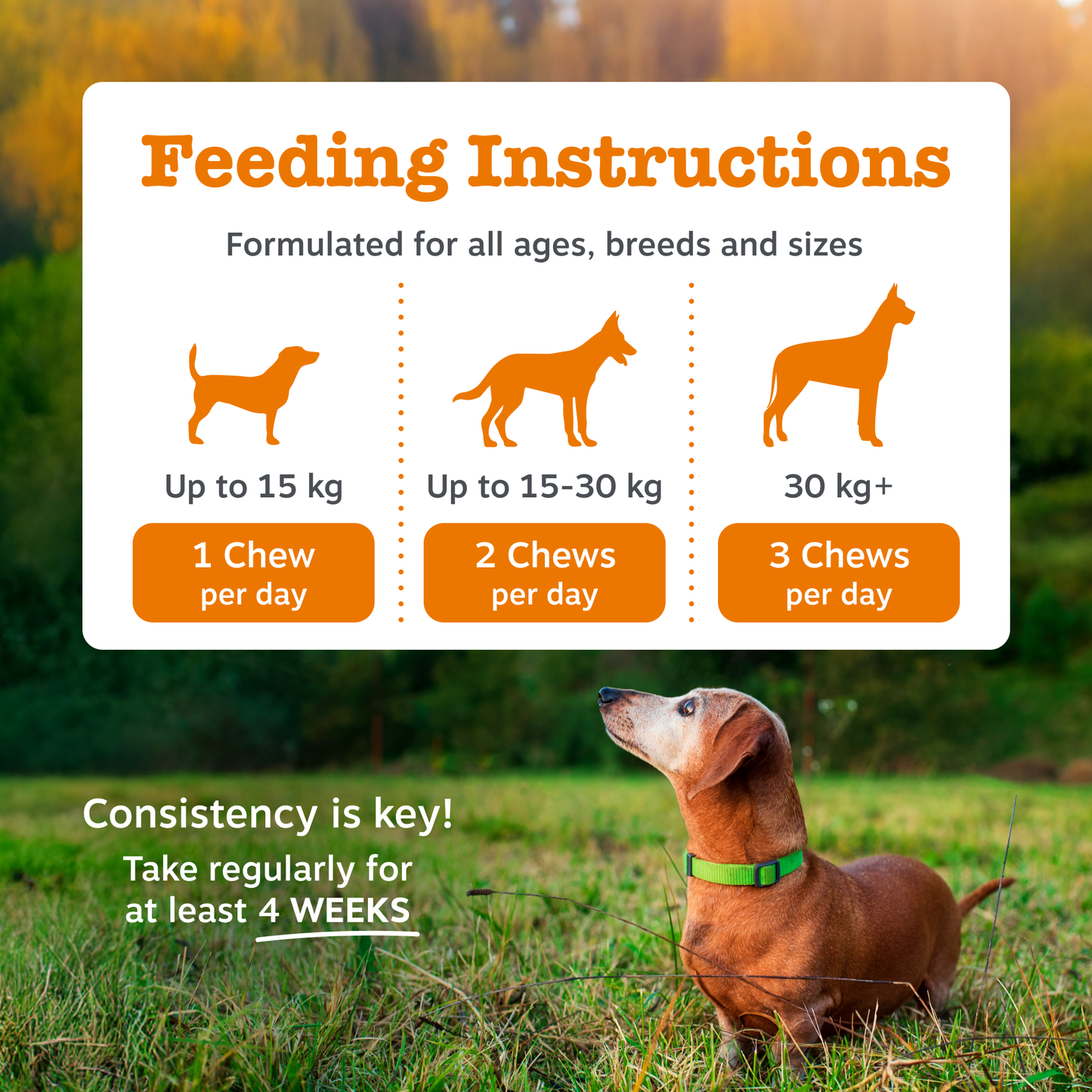 Zesty Paws Senior Advanced Allergy & Immunity Chews