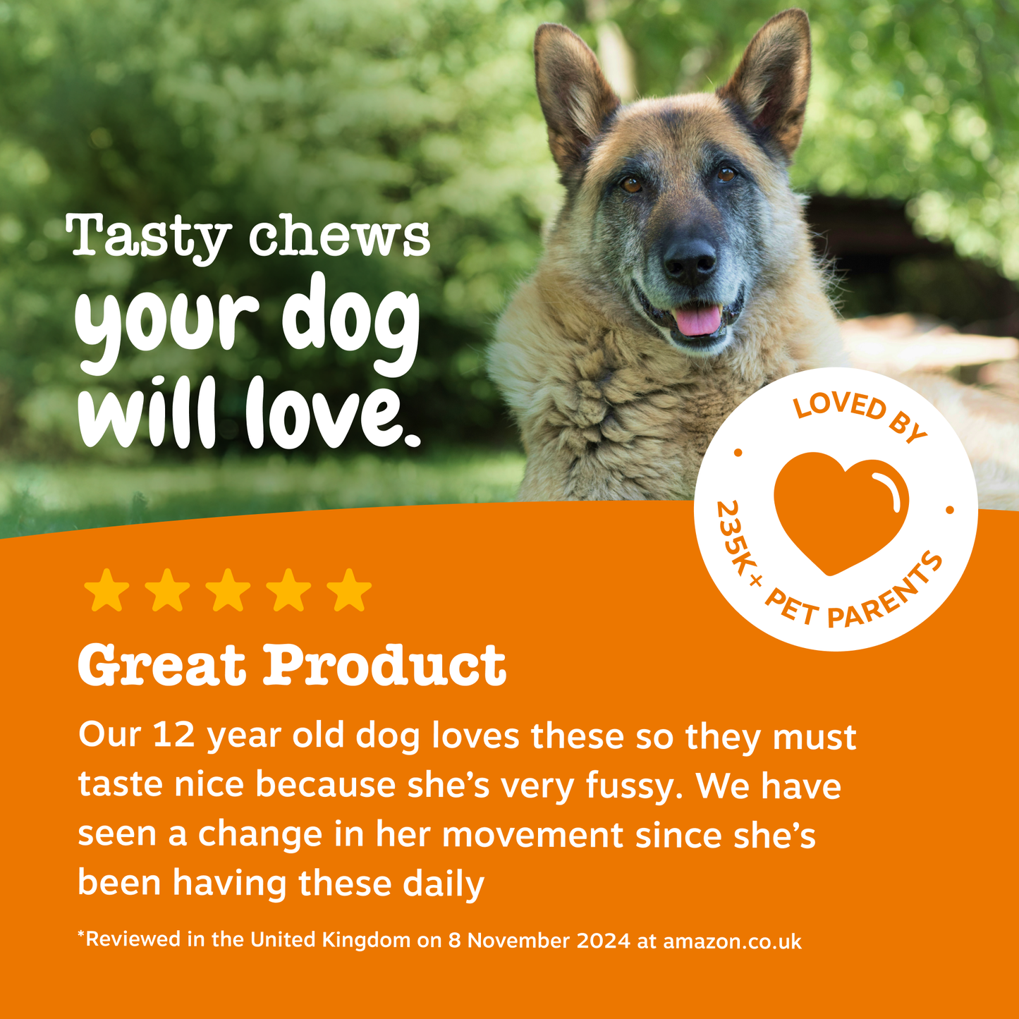 Zesty Paws UK Senior Advanced Hip & Joint Chews