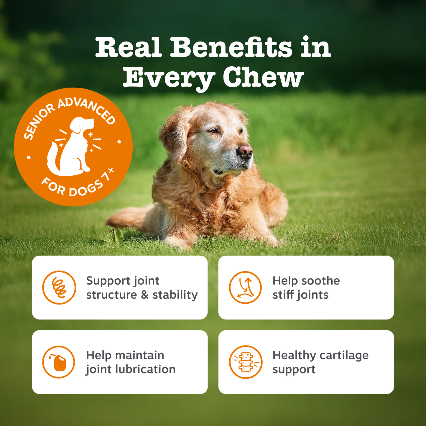 Zesty Paws UK Senior Advanced Hip & Joint Chews