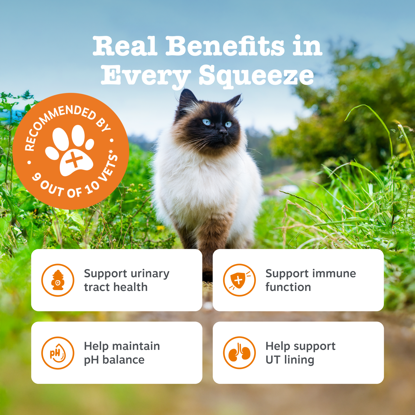Zesty Paws Urinary & Renal Care Paste