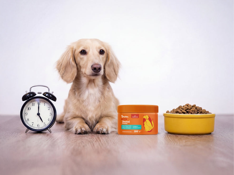 Ingredients Explained: PlaqBrite™ (Dental Health)