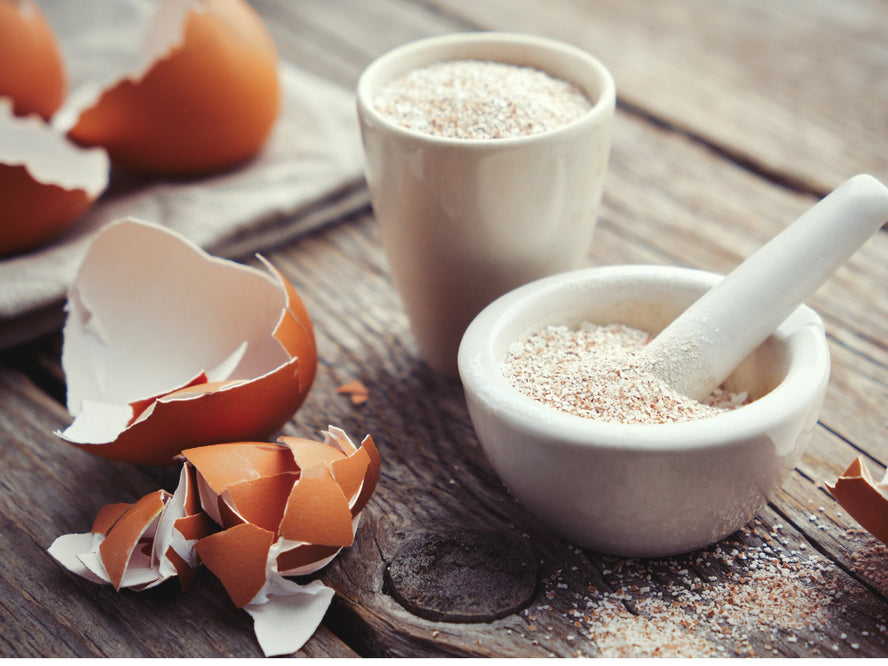 Eggshells and eggshell grounds