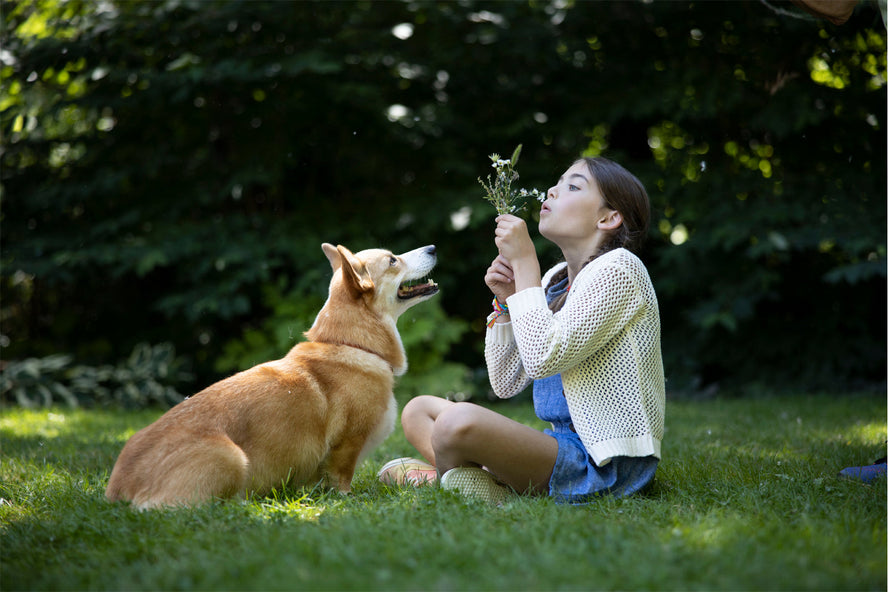 Cat and Dog Friendly Garden: How to Make it Safe for Them