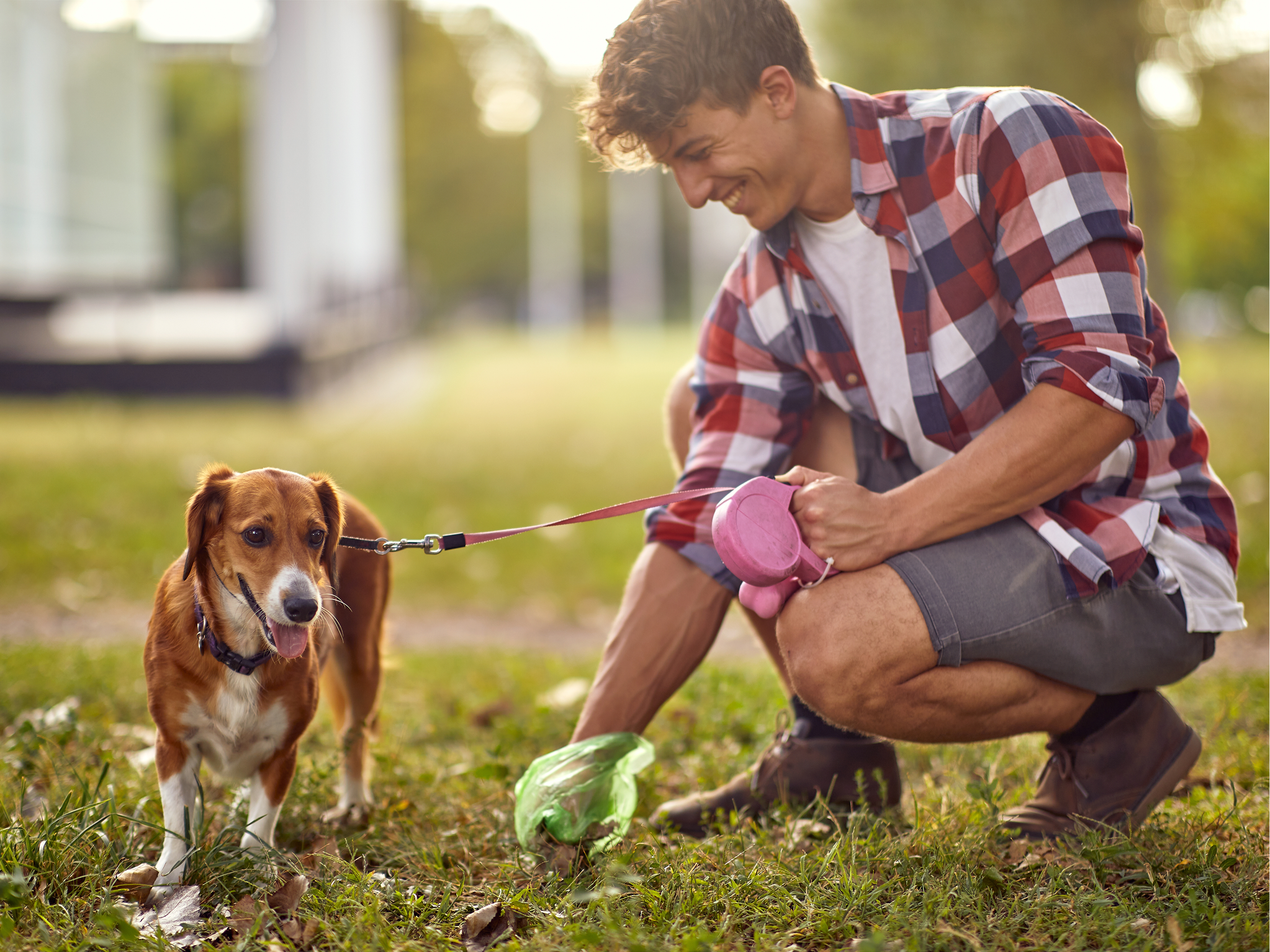 Beyond The Poo Bag: What your dog's stool reveals about their health