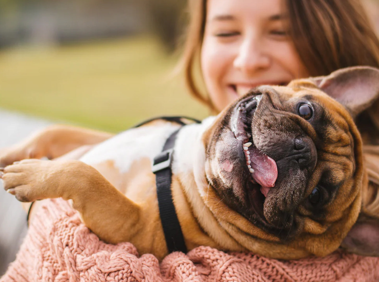 Dog Hiccups: Can Puppies and Dogs Have Them and How to Stop Them