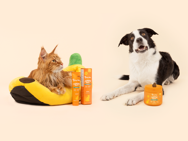 Pawesome Offers for Dogs