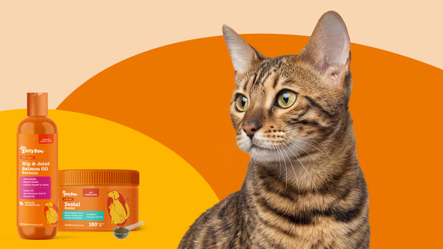 Cat Supplement Bundles