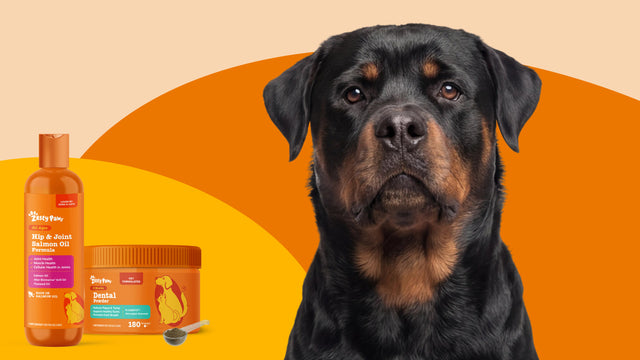Dog Supplement Bundles