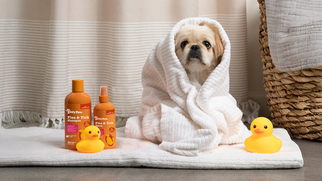 Flea & Tick Care