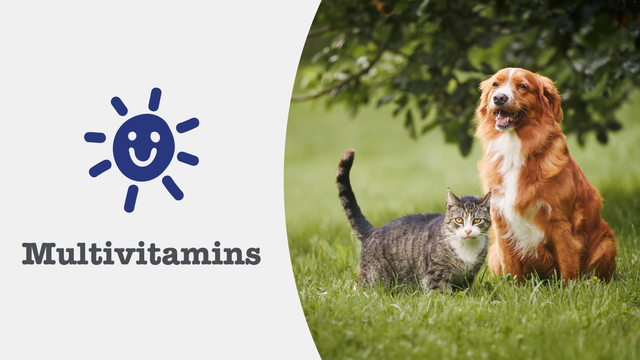 Overall Wellbeing Supplements for Dogs