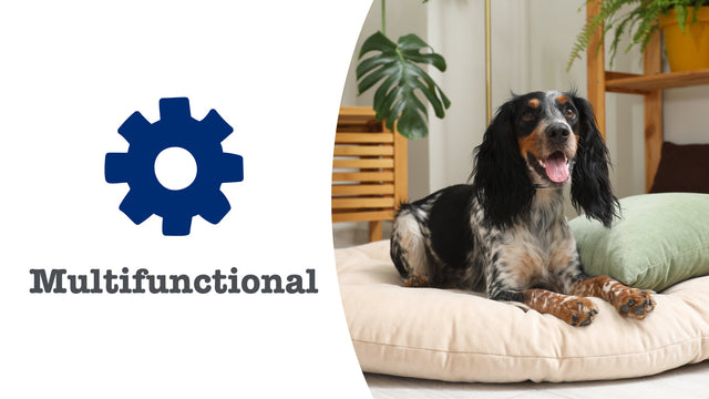 Overall Wellbeing Supplements for Dogs