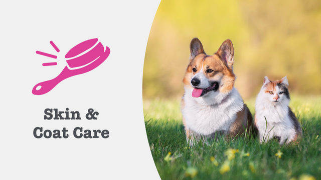 Skin & Coat Supplements for Cats & Dogs