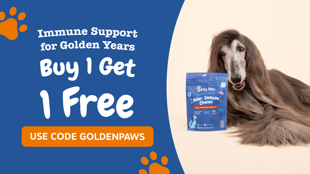 Senior Dog Supplements