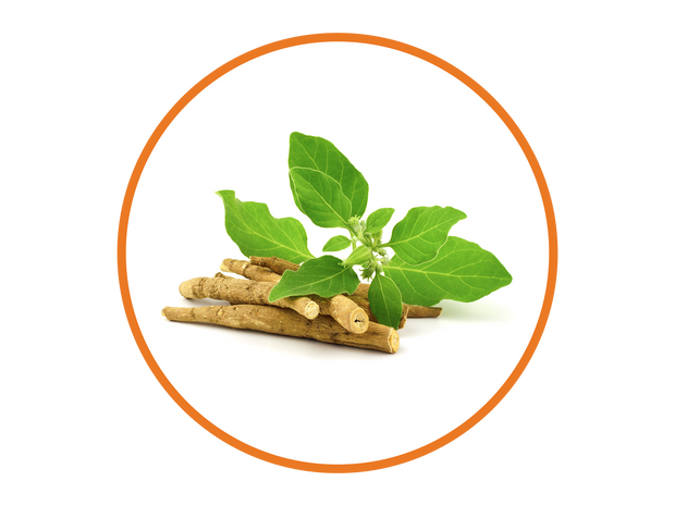 Ashwagandha Extract 