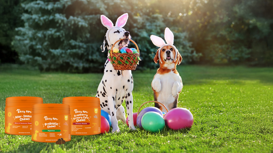 Easter Sale