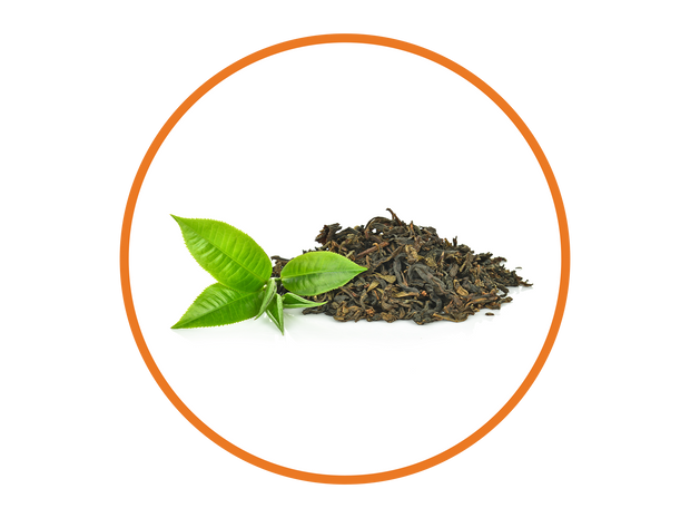 Green Tea Extract  