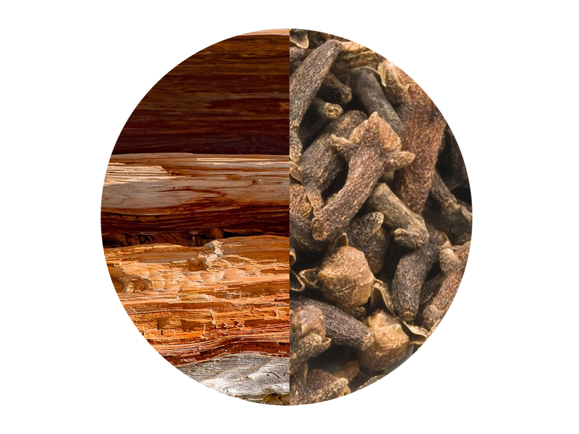 Cedarwood & Clove Oil blend