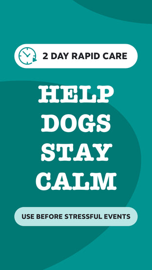 2 day rapid care
Help dogs stay calm
Use before stressful events