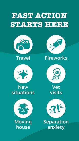 Fast action starts here
Travel
Fireworks
New situations
Vet visits
Moving house
Separation anxiety