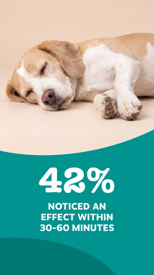 42% noticed an effect within 30-60 minutes