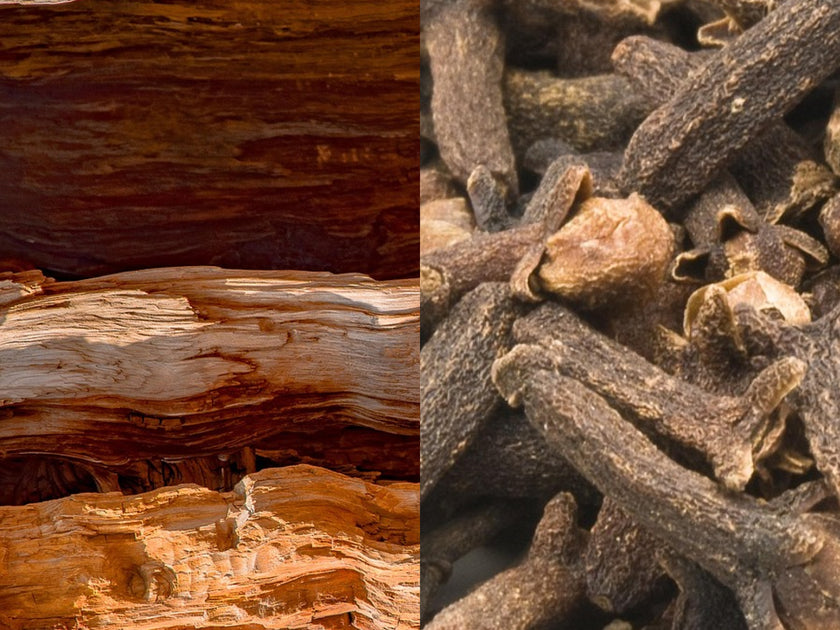 Cedarwood & Clove Oil blend