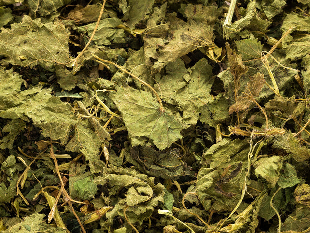Nettle Root
