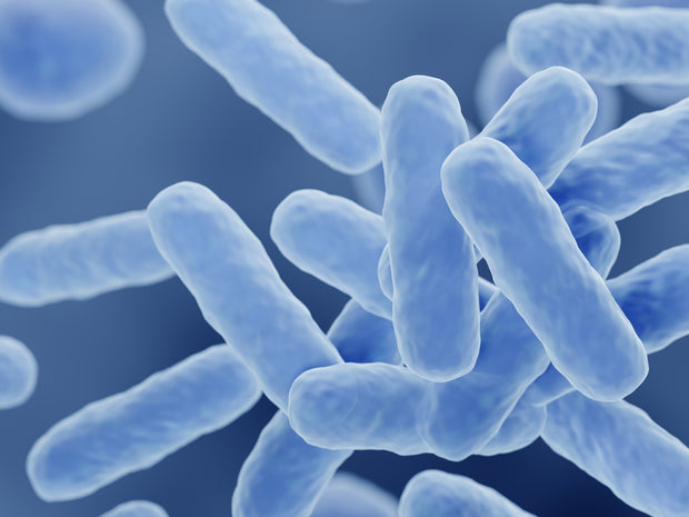 Postbiotic (L. Helveticus)