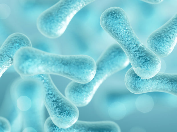 Prebiotic (Beta-Glucan)