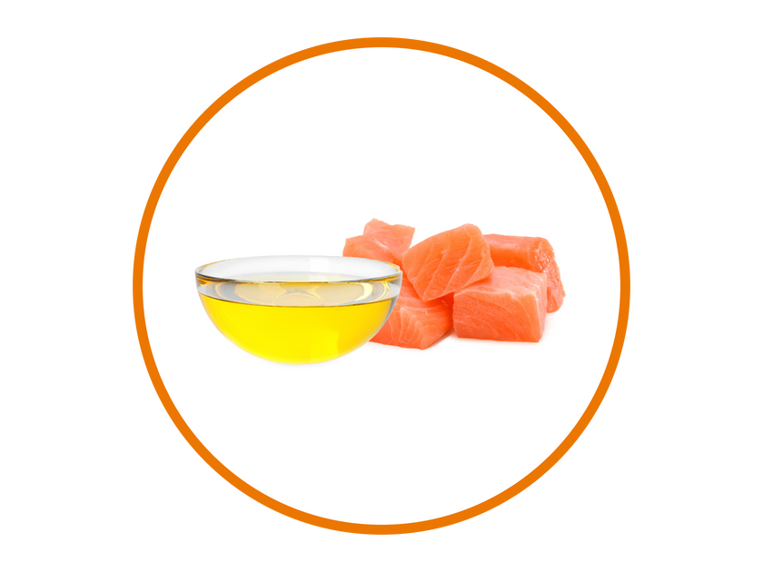 Premium Salmon Oil Blend